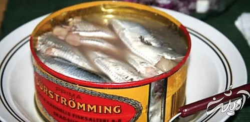 چراغ راهنمایی‌آبی و هات‌چاکلت با پنیر!